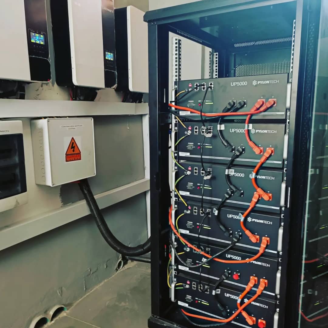 WhatsApp Image 2026-02-11 at 19.02.08